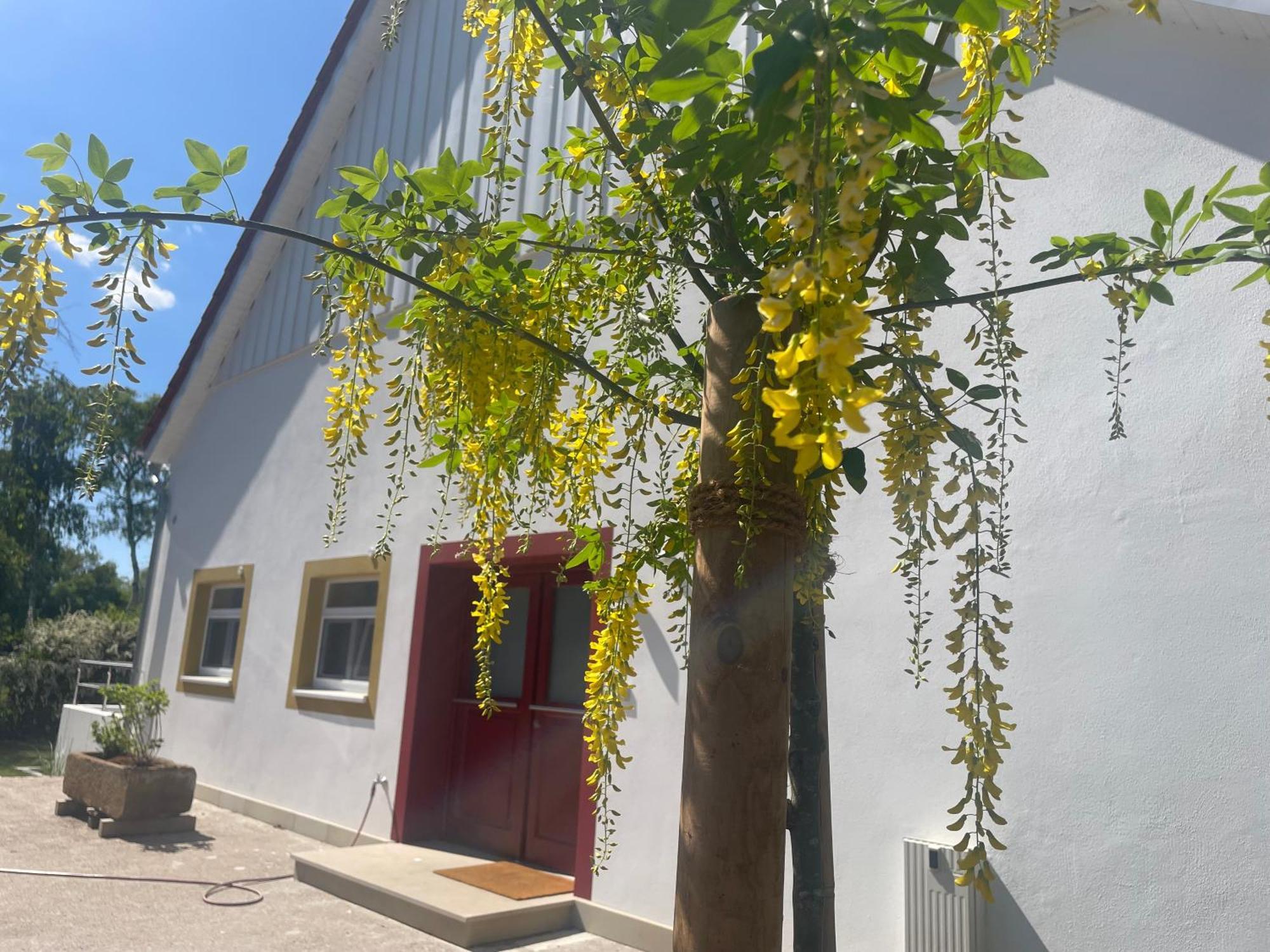 Appartement Mit 2 Schlafzimmern Und Terrasse Halle  Bagian luar foto